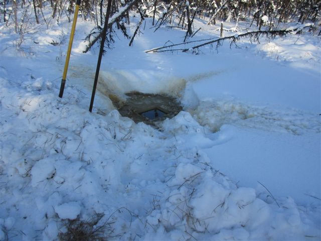 WATER